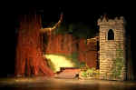 Into the Woods Set w-Tower.jpg (227894 bytes)